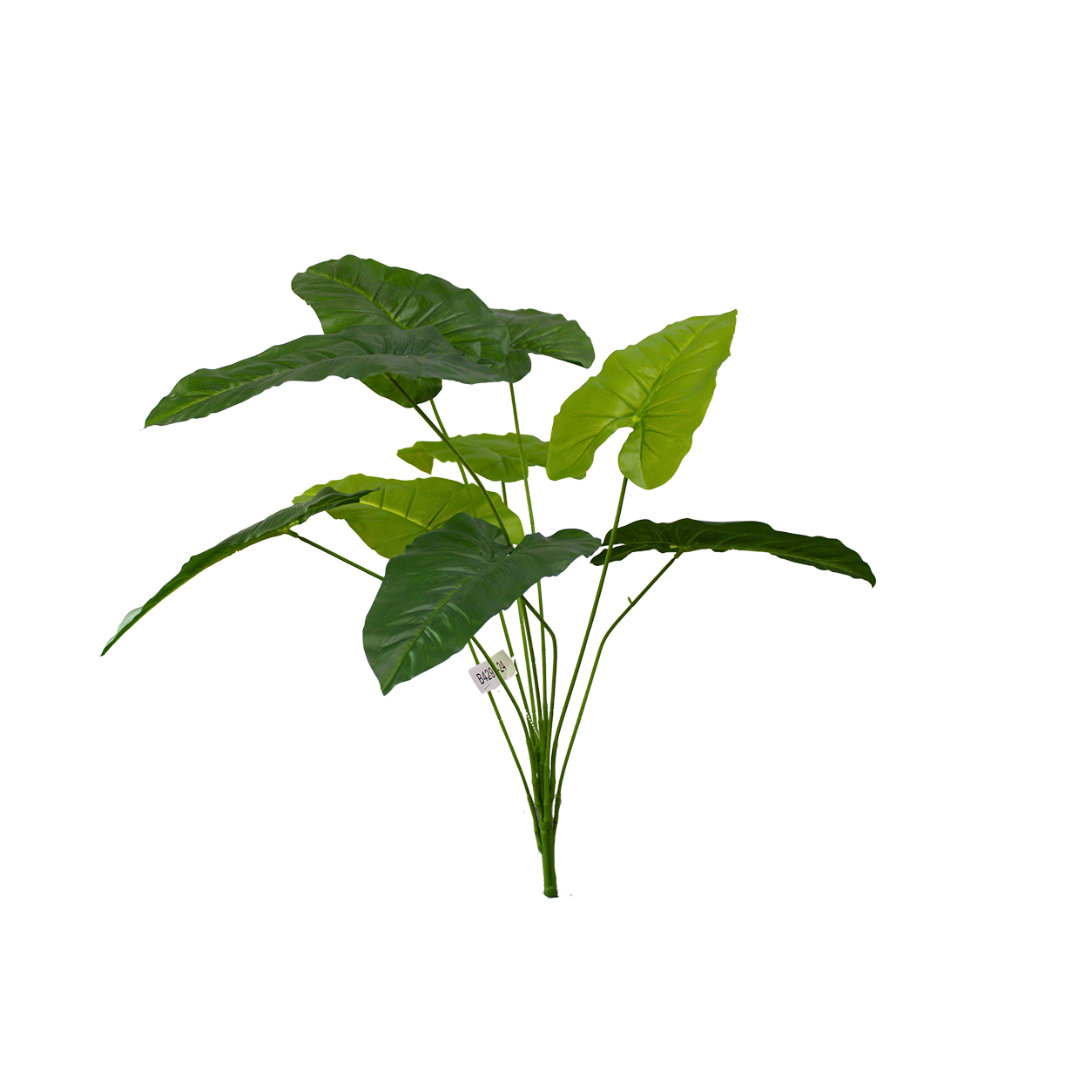 Yapay Alocasia 80cm