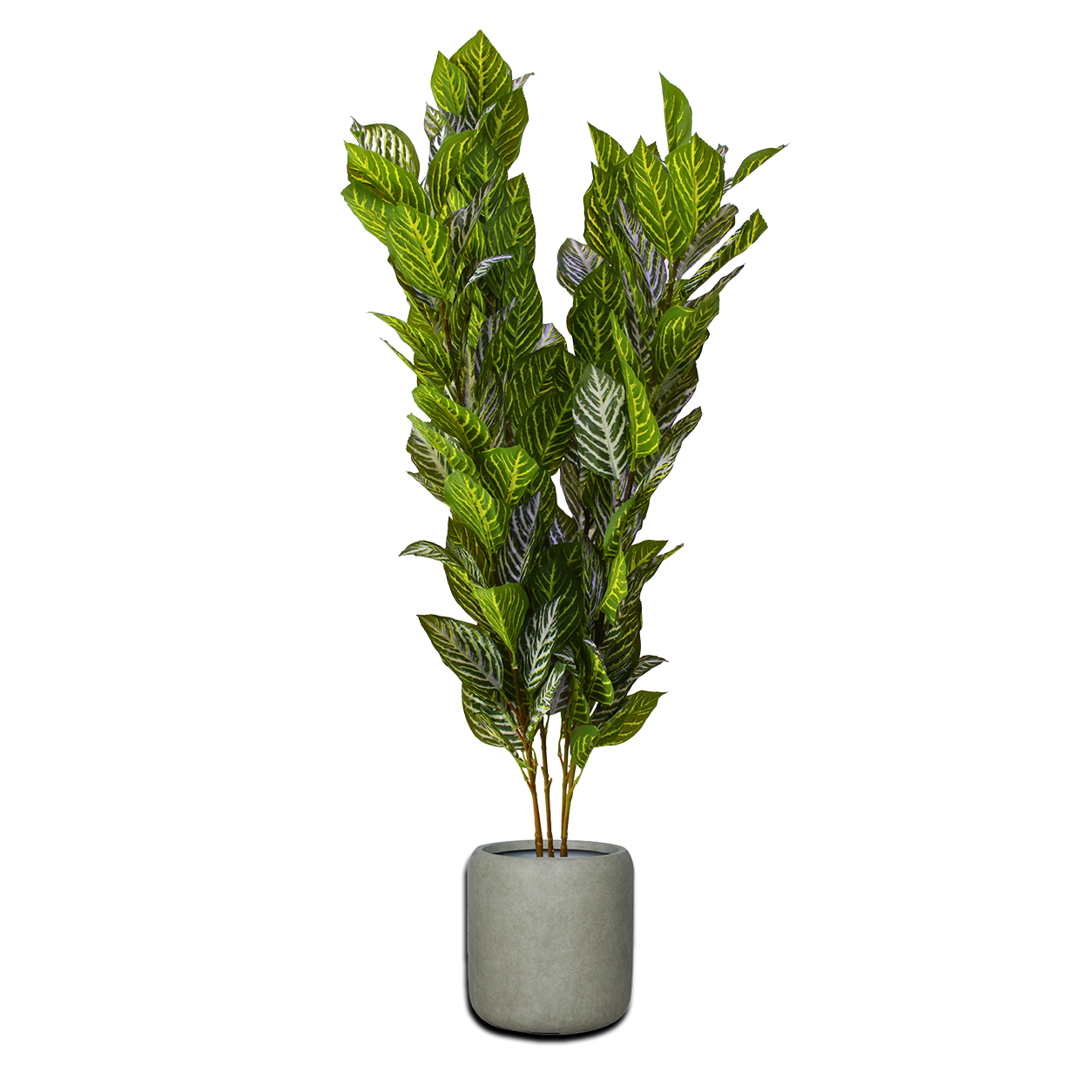 Yapay Aphelandra Çalı 120cm