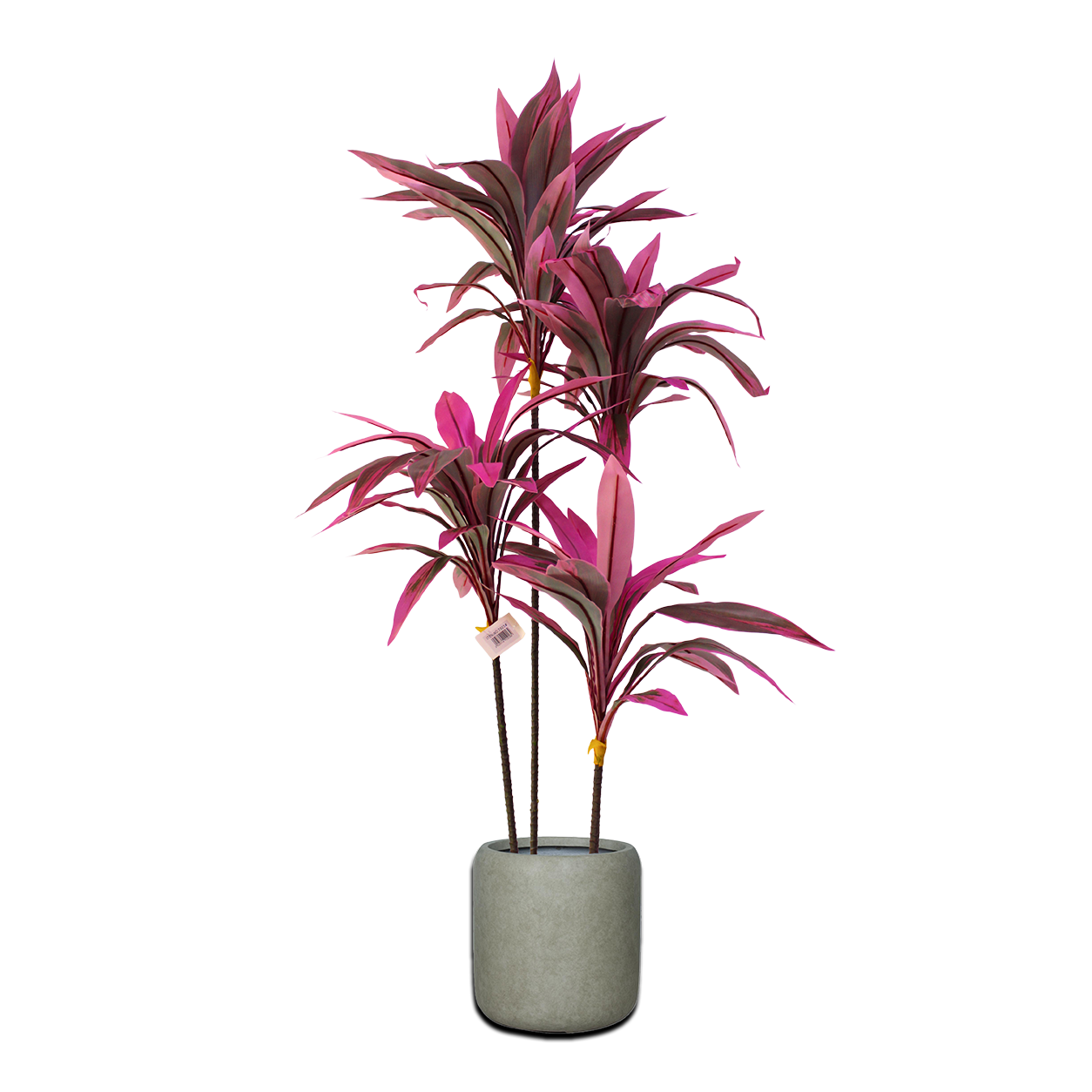 Yapay Dracena Flamingo 120cm