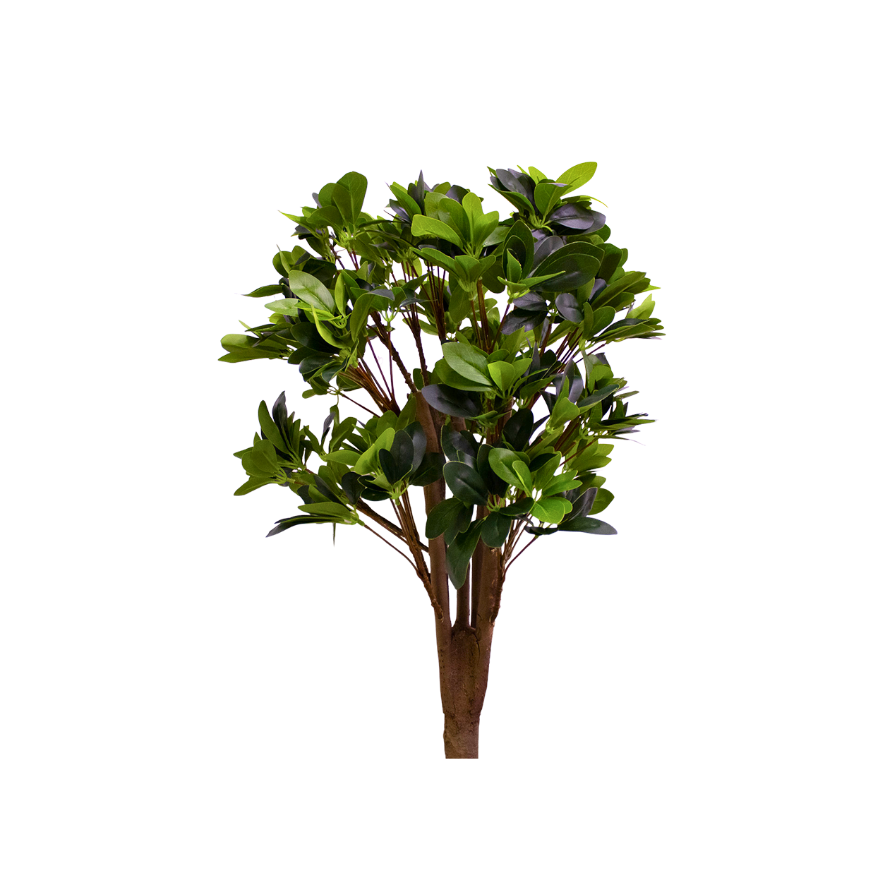 Yapay Sheflera Demet 82cm