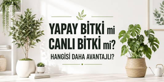 Yapay Bitki mi Canlı Bitki mi? Hangisi Daha Avantajlı?