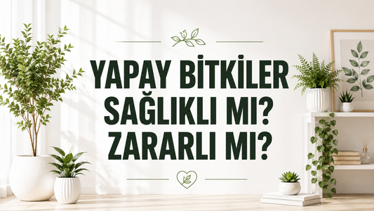 Yapay Bitkiler Sağlıklı mı? Zararlı mı?