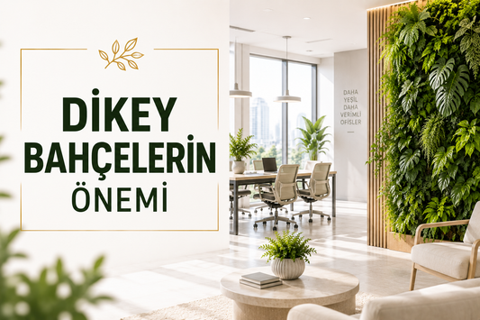 Dikey Bahçelerin Önemi