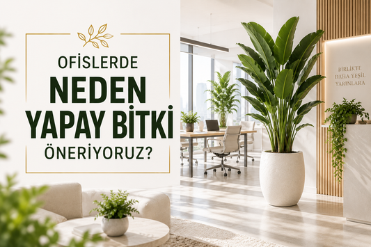 Ofislerde Neden Yapay Bitki Öneriyoruz?