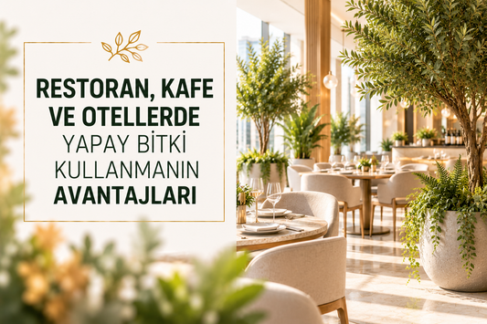 Restoran, Kafe ve Otellerde Yapay Bitki Kullanmanın Avantajları
