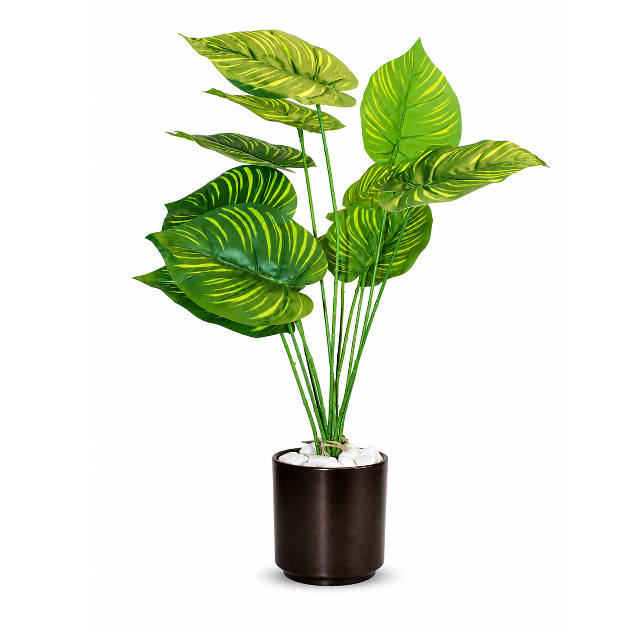 Premium Yapay Calathea (Dua Çiçeği) – Dekoratif Saksılı Tropikal Bitki 65cm