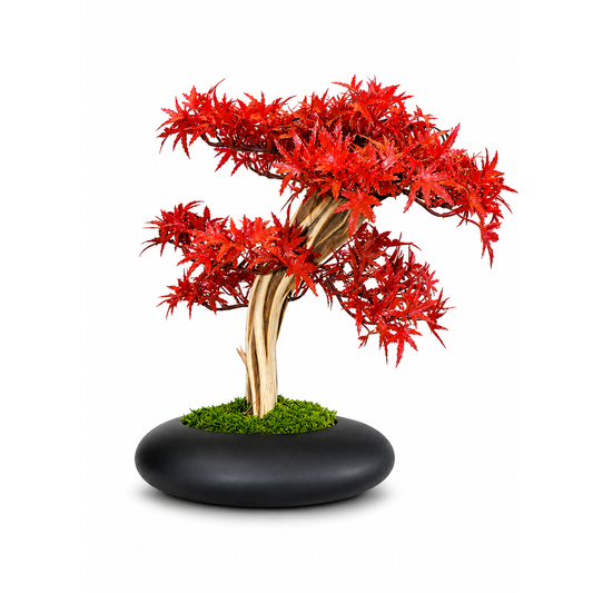 Premium Yapay Kırmızı Japon Akçaağaç Bonsai – Dekoratif Acer Palmatum 35cm