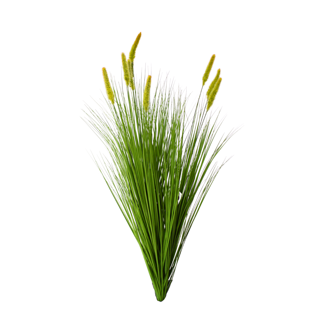 Yapay Yeşil Pampas