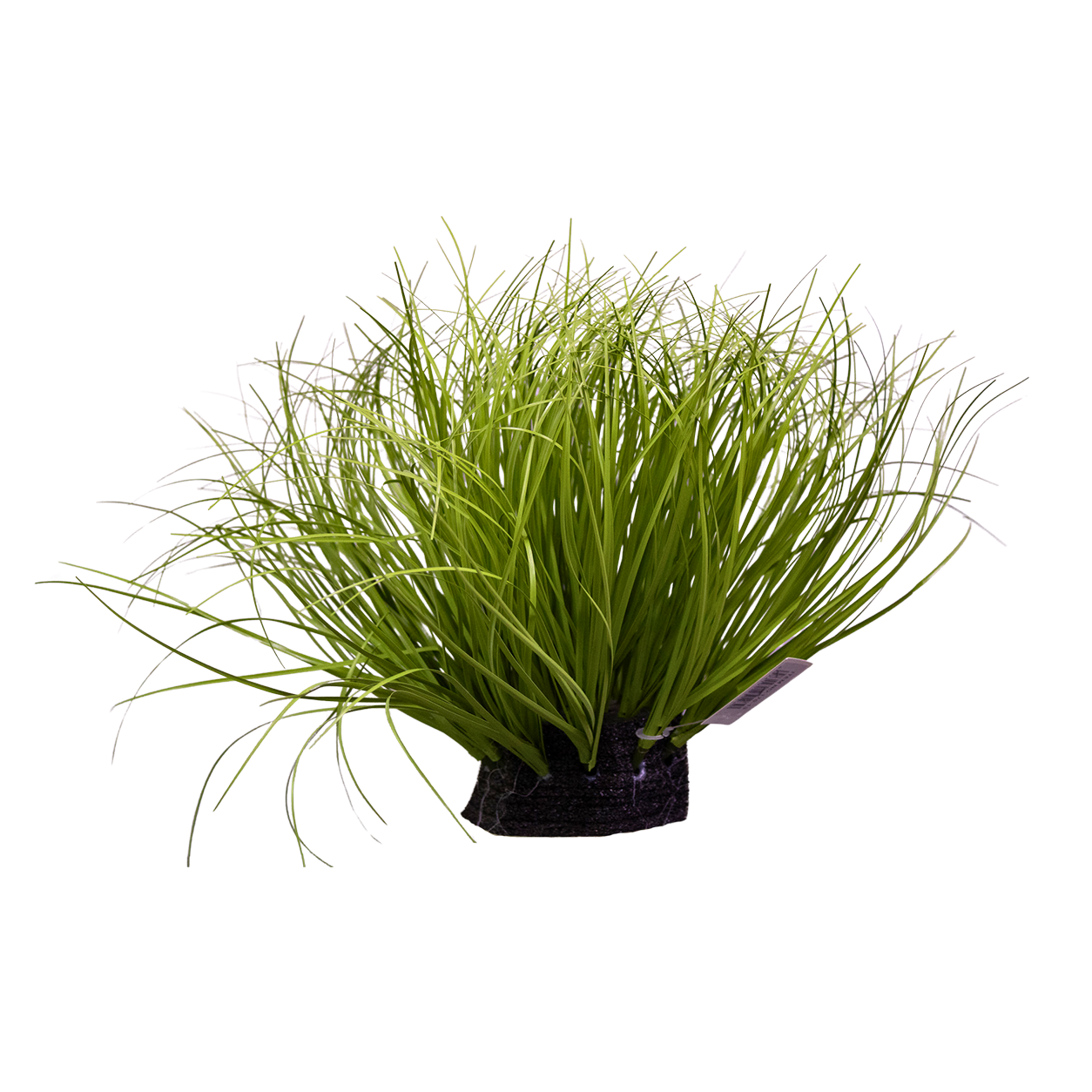 Yapay Carex Bitki