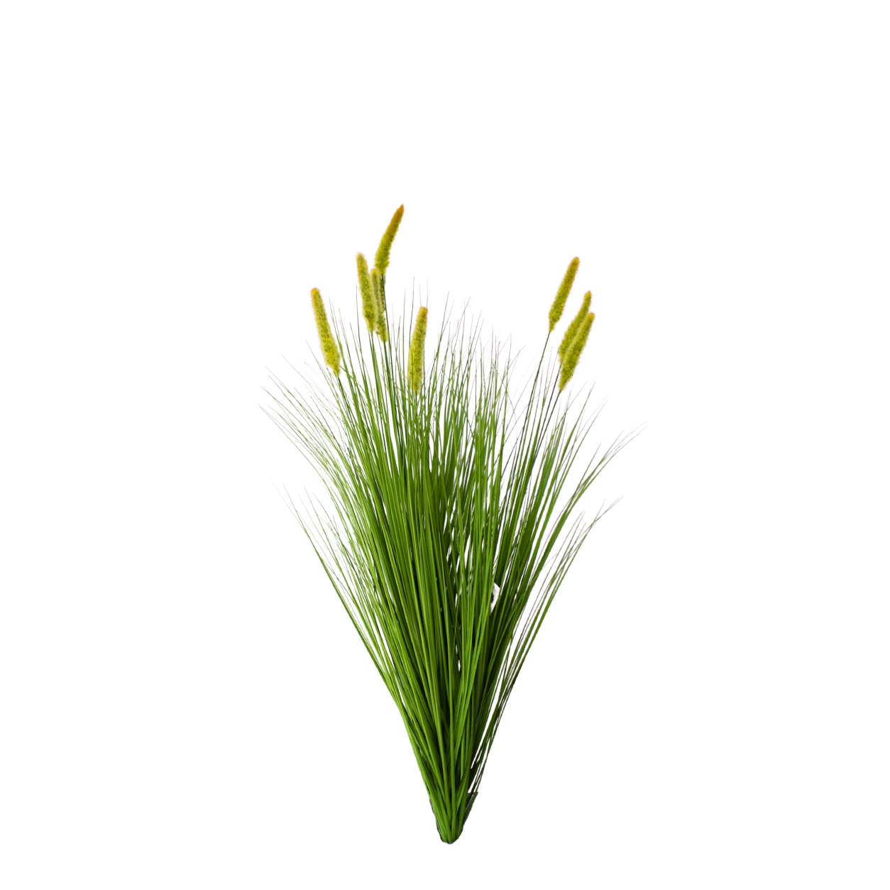 Yapay Yeşil Pampas