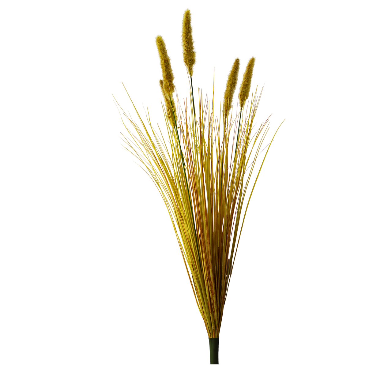 Yapay Kuru Pampas