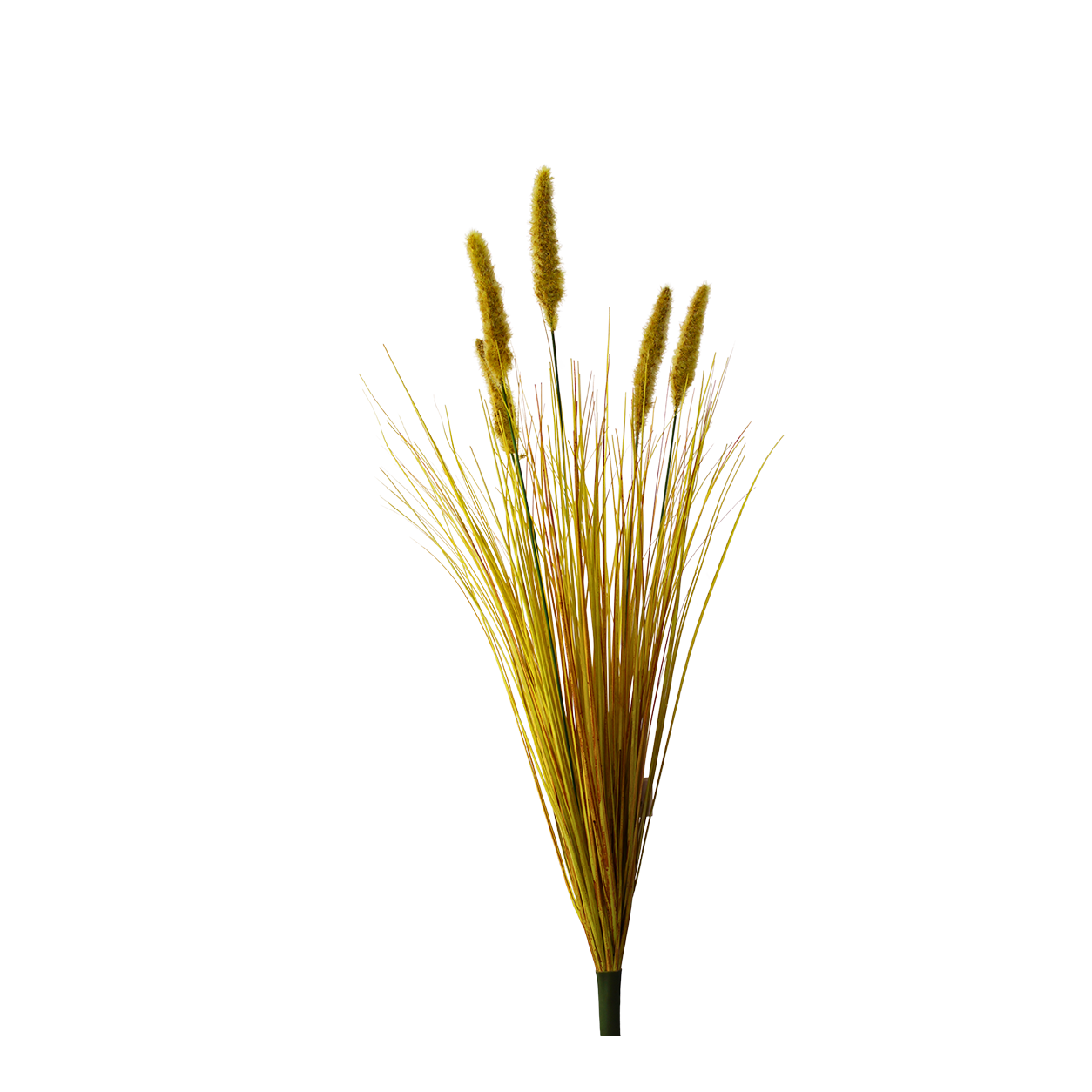 Yapay Kuru Pampas