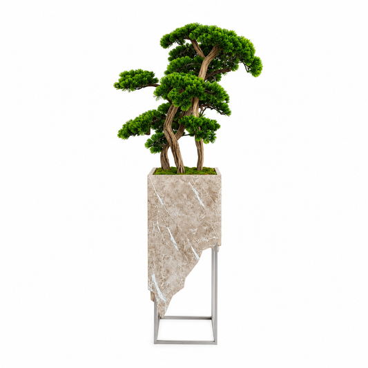 Premium Mermer Desenli Saksıda Niwaki Bonsai 175cm