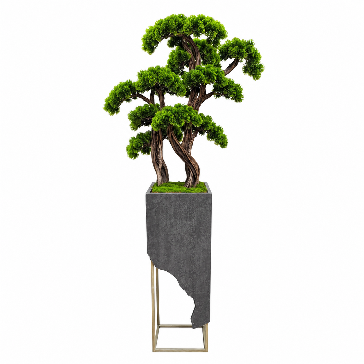 Premium Gri Mermer Desenli Saksıda Niwaki Bonsai 175cm