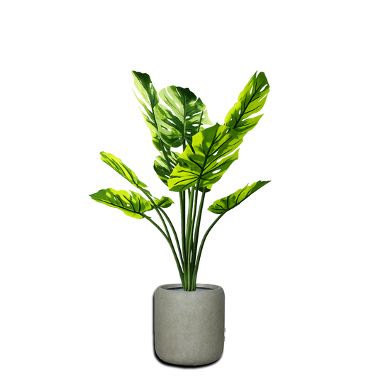 Yapay Alacalı Monstera