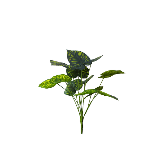 Yapay Alocasia
