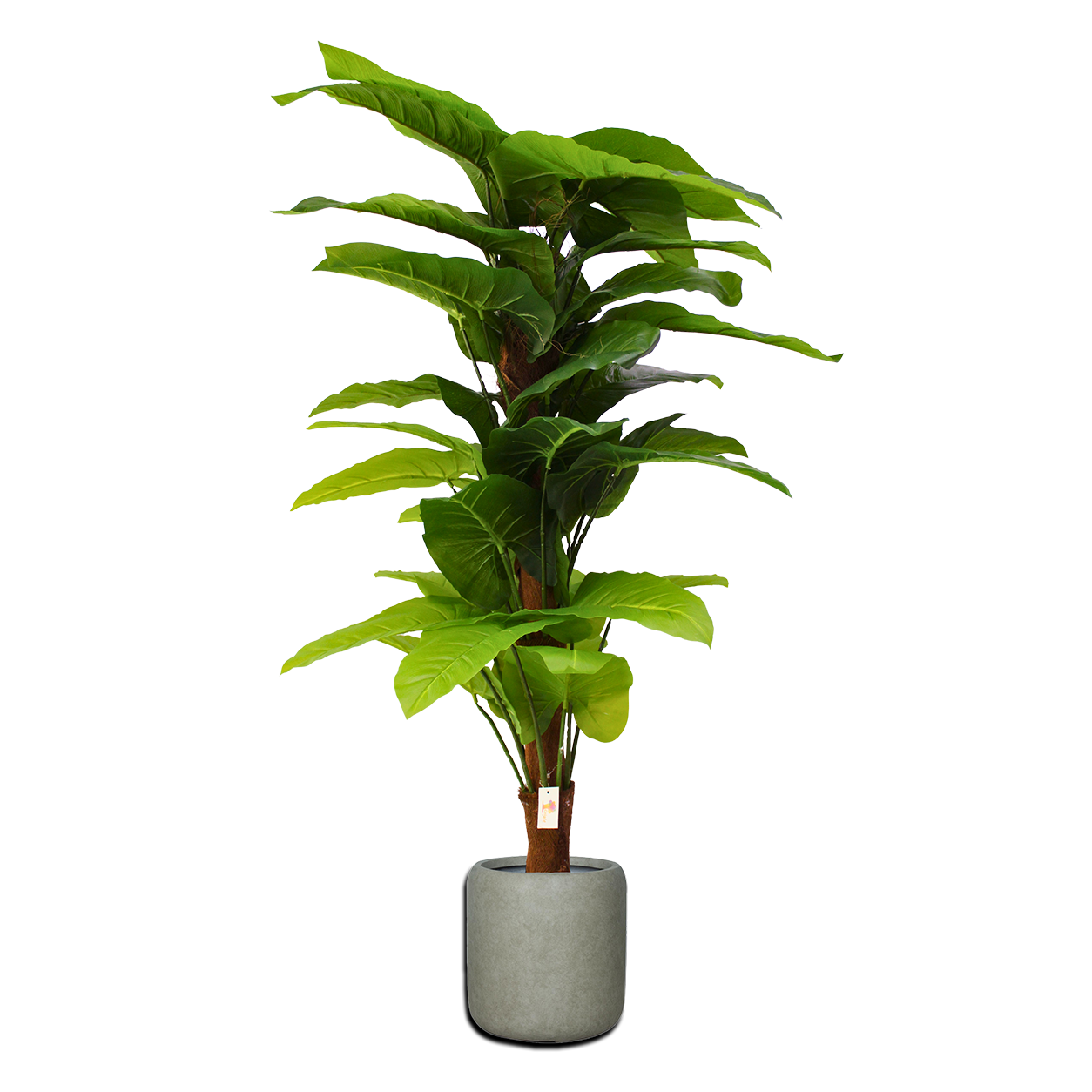 Yapay Alocasia 120cm