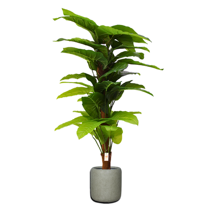 Yapay Alocasia 120cm