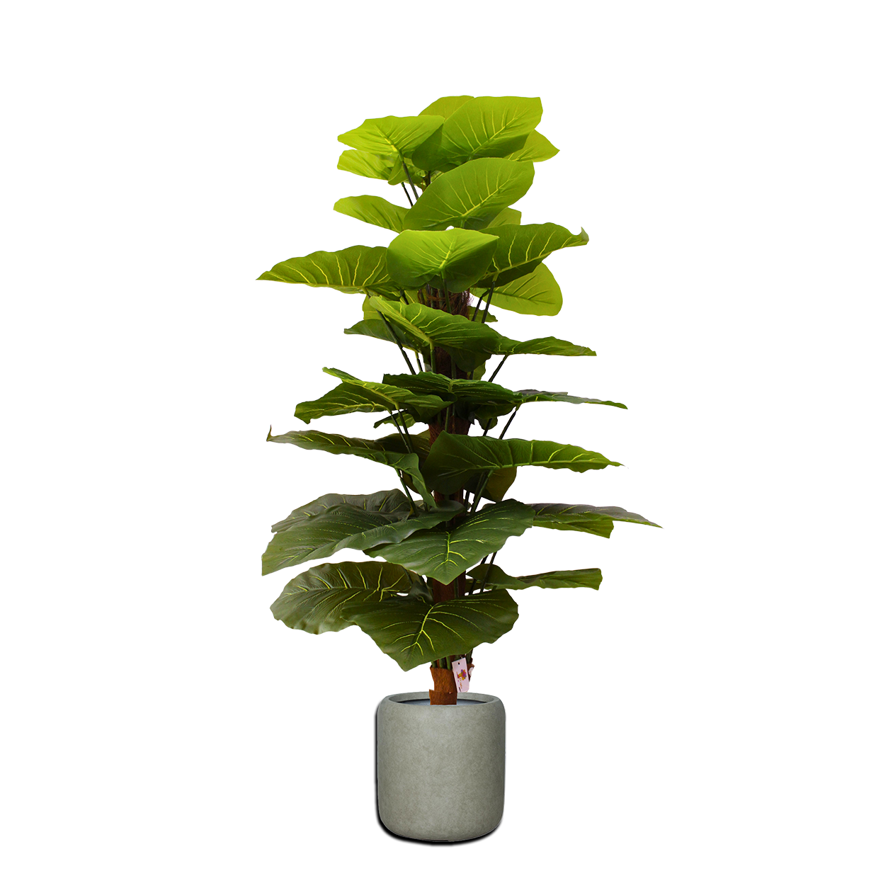 Yapay Alocasia 120cm