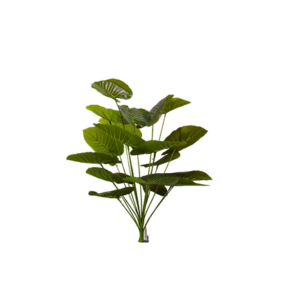 Yapay Alocasia Demet