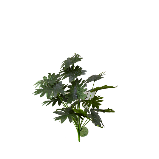 Yapay Xanadu 70cm