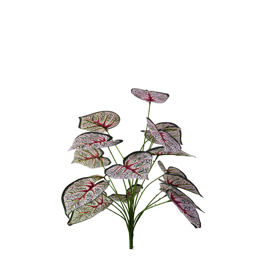 Yapay Caladium Bicolor 65cm