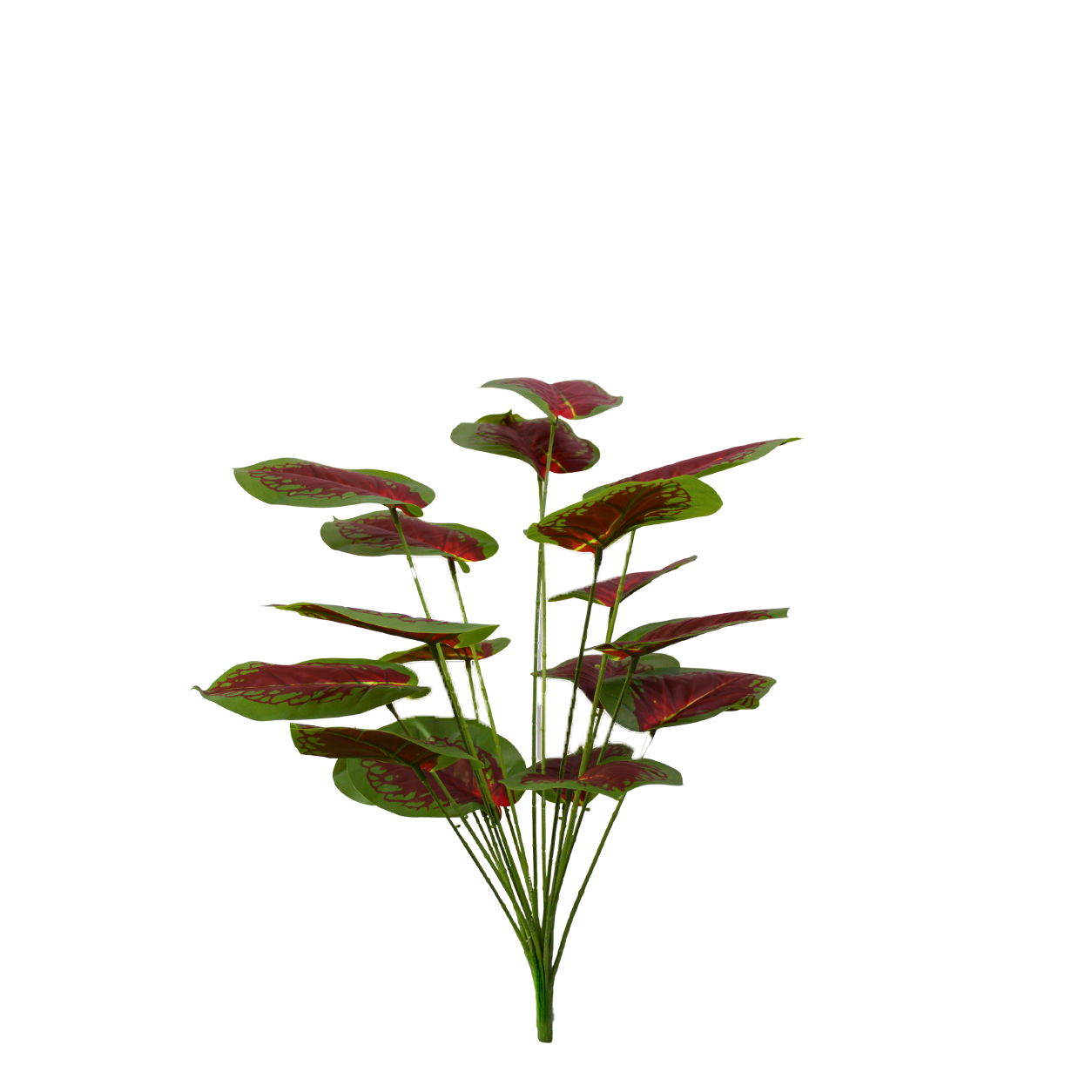 Yapay Caladium 70cm