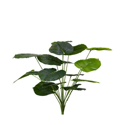 Yapay Alocasia Demet
