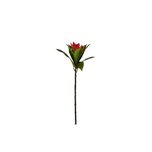Yapay Kırmızı Manolya 80cm