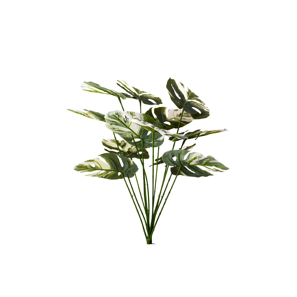 Yapay Alacalı Monstera