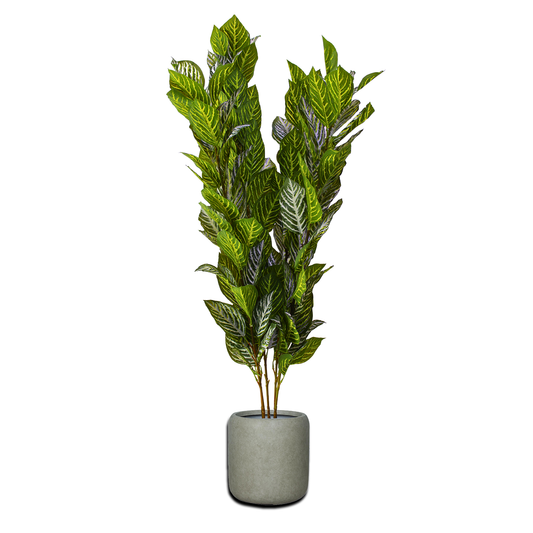 Yapay Aphelandra Çalı 120cm