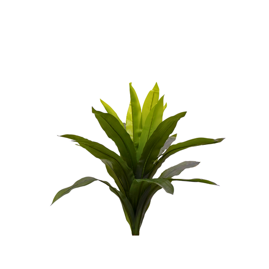 Yapay Yucca