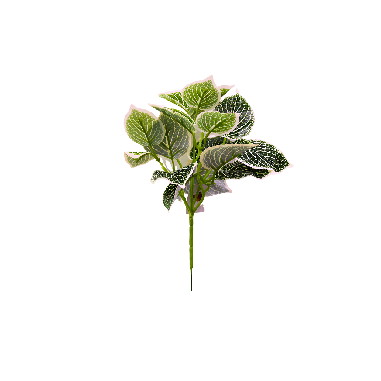 Yapay Fittonia Demeti 36cm