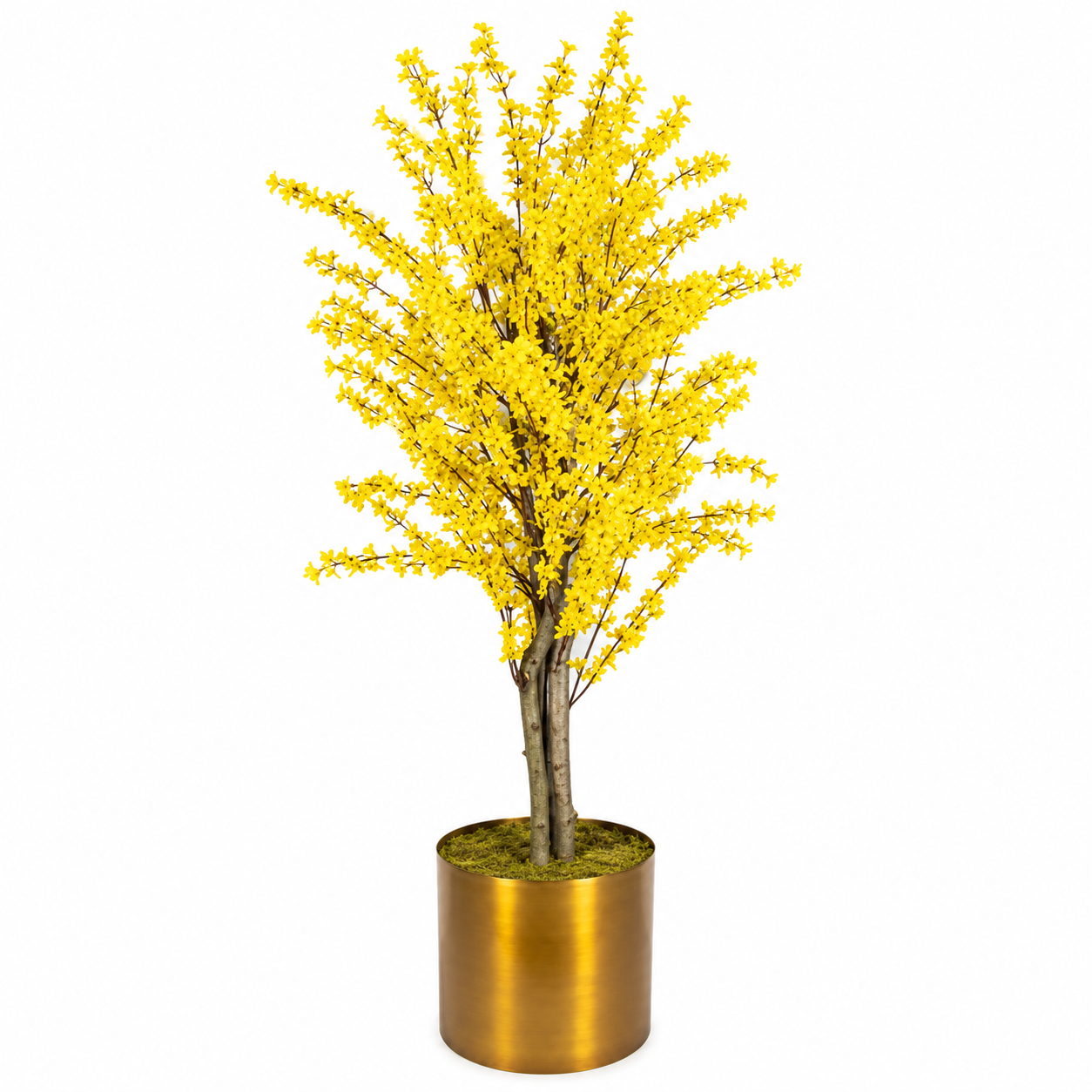 Premium Yapay Forsythia Ağacı – Sarı Çiçekli Dekoratif Altın Çan Ağacı 180cm