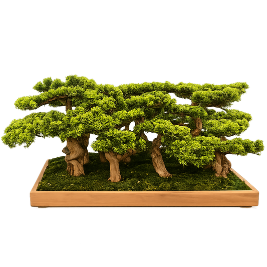 Premium Yapay Bonsai Ormanı – El Yapımı Masaüstü Zen Peyzaj Tasarımı 100x45cm