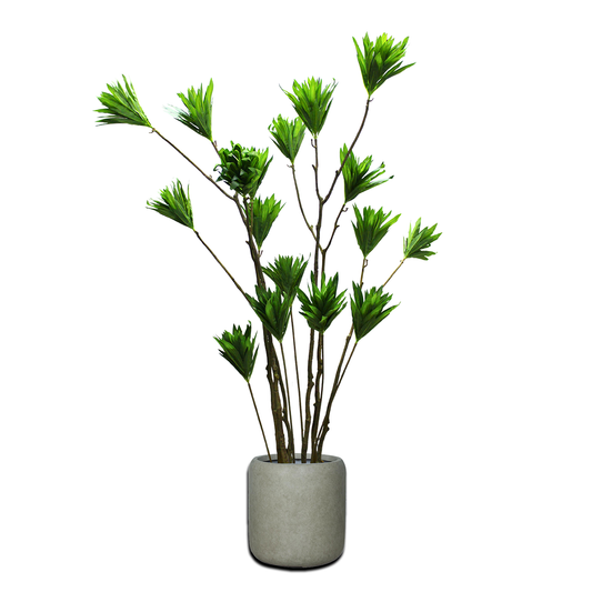 Yapay Dracaena Reflexa 160cm