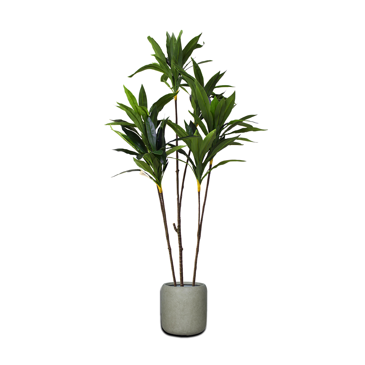 Yapay Dracaena 140cm