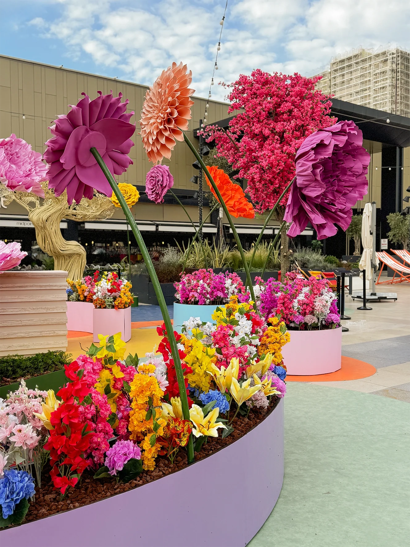 Bloom & Joy