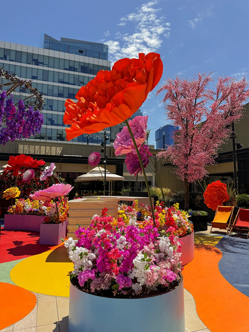 Bloom & Joy