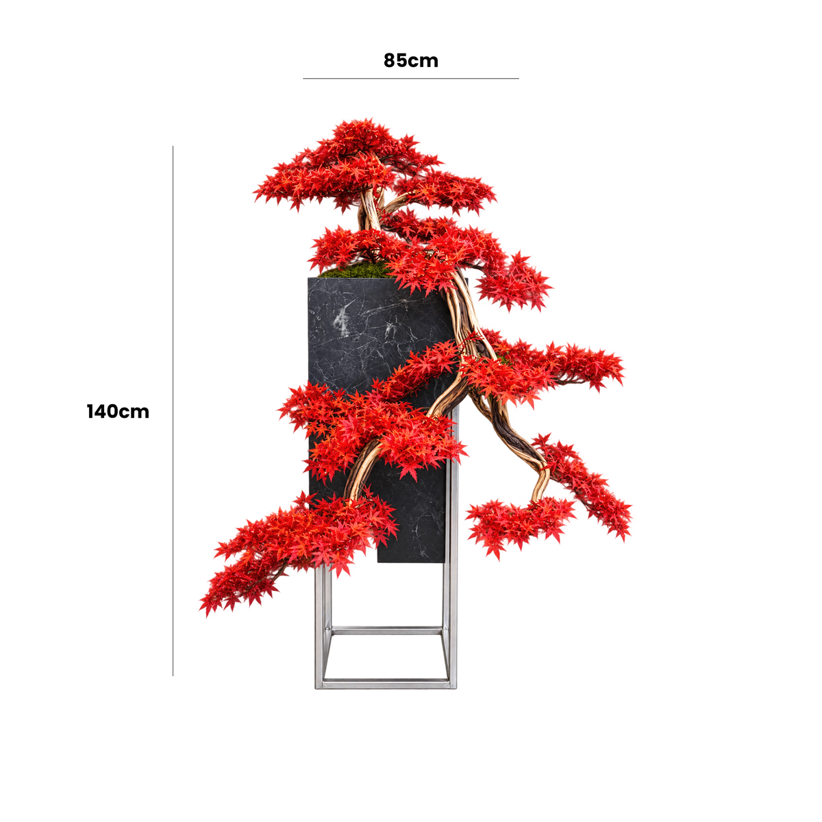 Medusa Red Bonsai