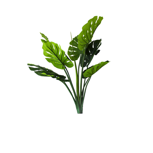 Yapay Monstera