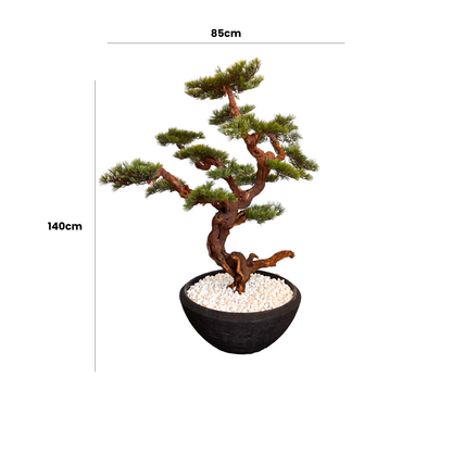Moon Bonsai