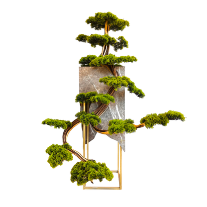 Titan Bonsai