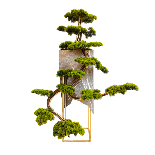 Titan Bonsai