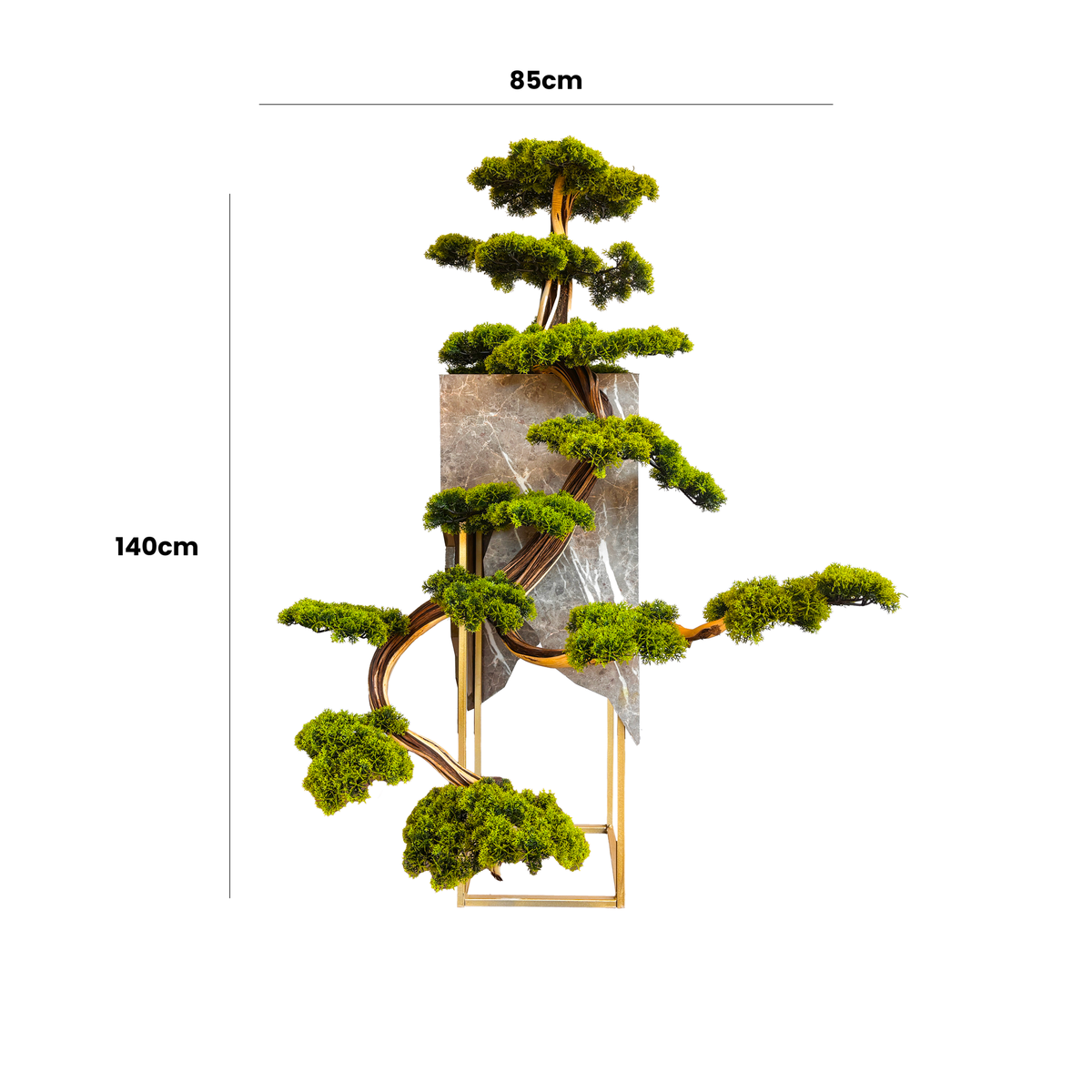 Titan Bonsai