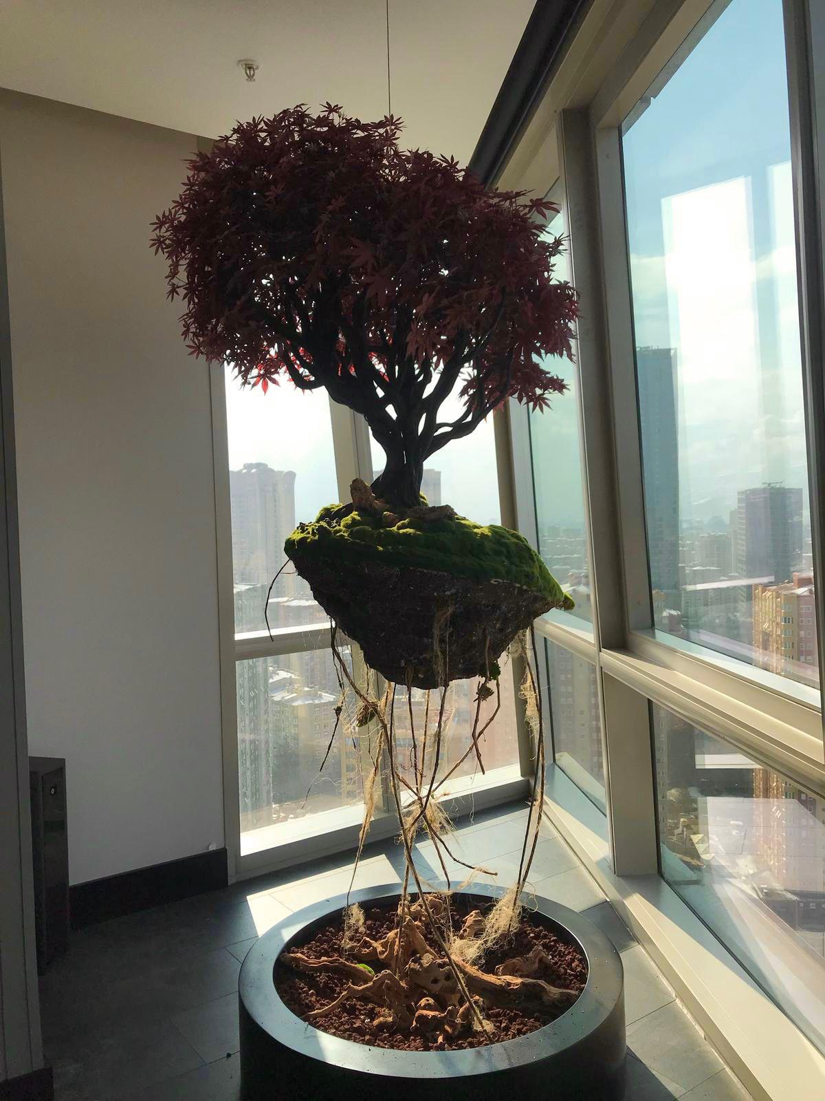 Avatar Bonsai