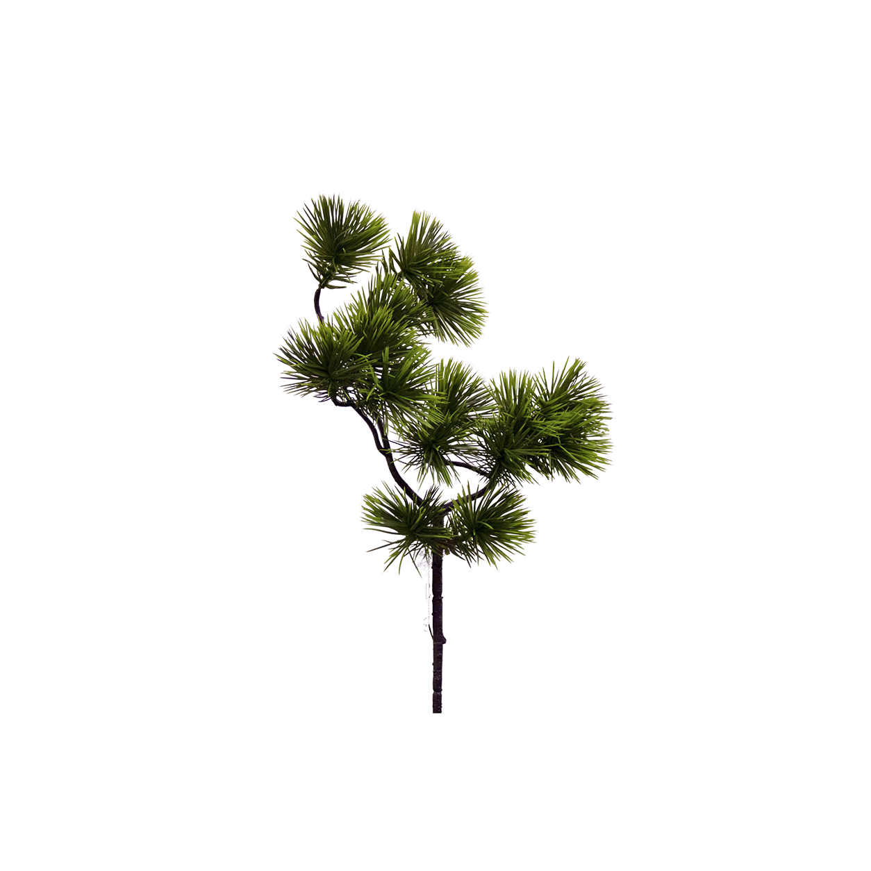 Yapay Bonsai Dal