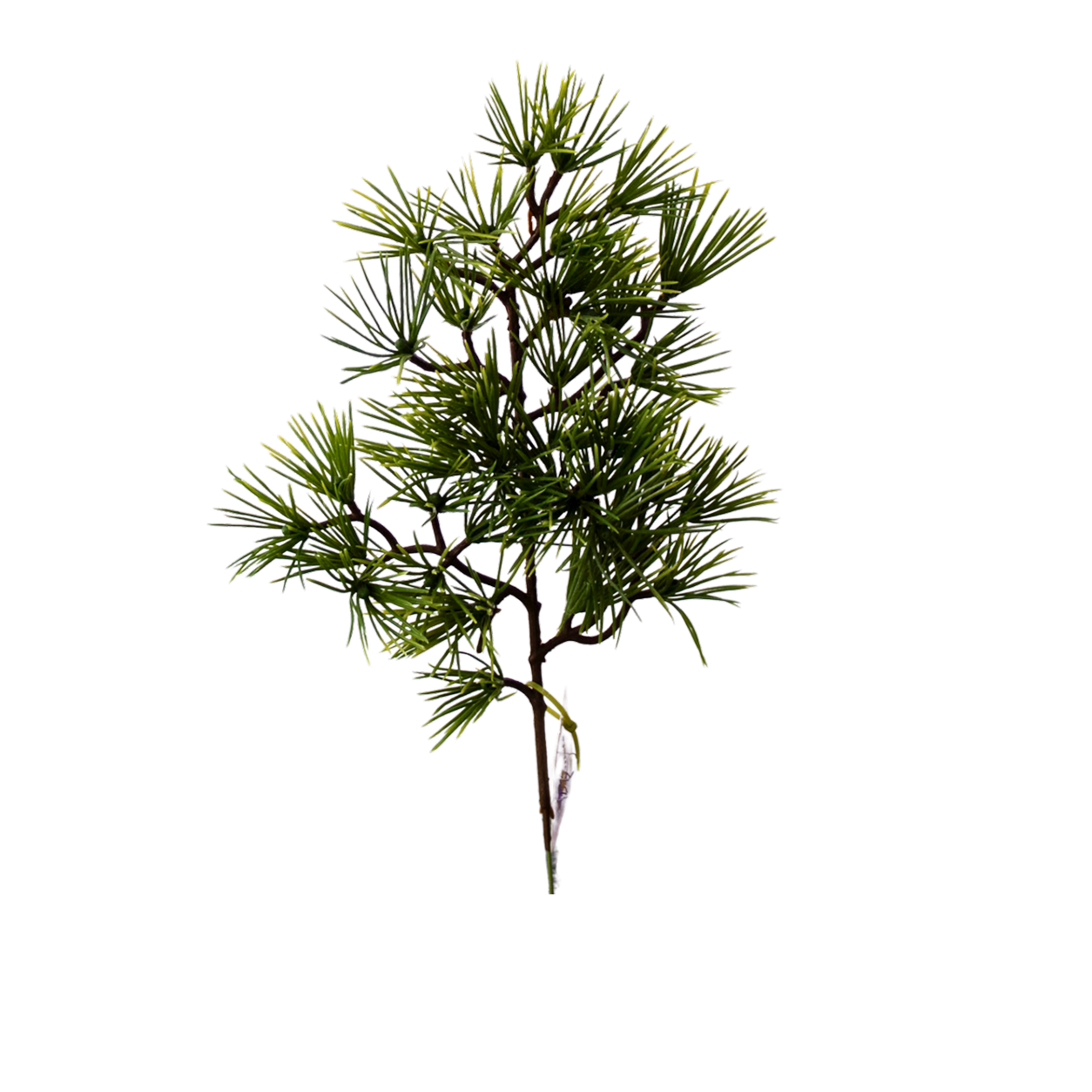 Yapay Bonsai Dal